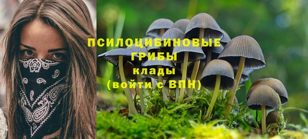 круглые Абаза