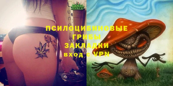 круглые Абаза