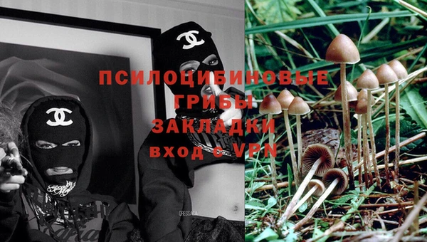 круглые Абаза