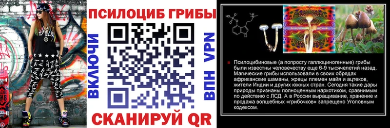 купить наркотики цена  Нижнекамск  Псилоцибиновые грибы Magic Shrooms 