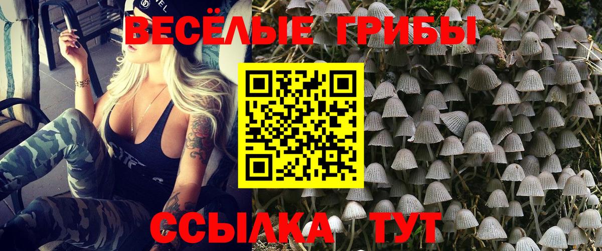 Нижнекамск  Галлюциногенные грибы Cubensis  Вход с VPN  Псилоцибиновые грибы мицелий 